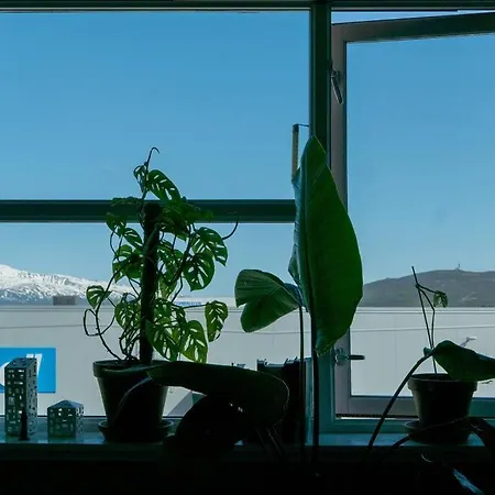 Cozy With Sea View Apartment Tromso